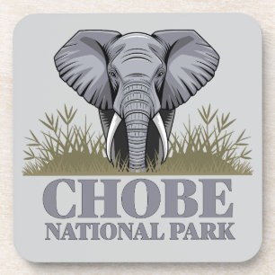 Chobe National Park Botswana Beverage Coaster