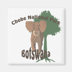 Chobe National Park Elephant Magnet
