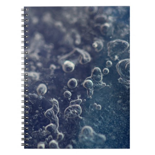 Choceradsk Notebook
