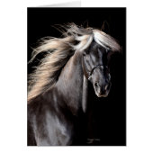 Choco Rocky Mountain Horse (Front)