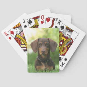 Chocolate and Tan Dachshund - Doxie Dog Poker Cards