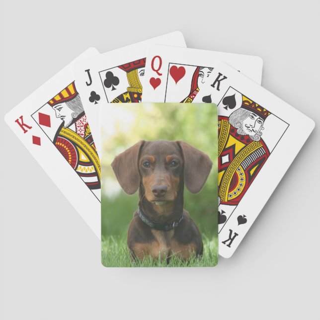 Chocolate and Tan Dachshund - Doxie Dog Poker Cards (Back)