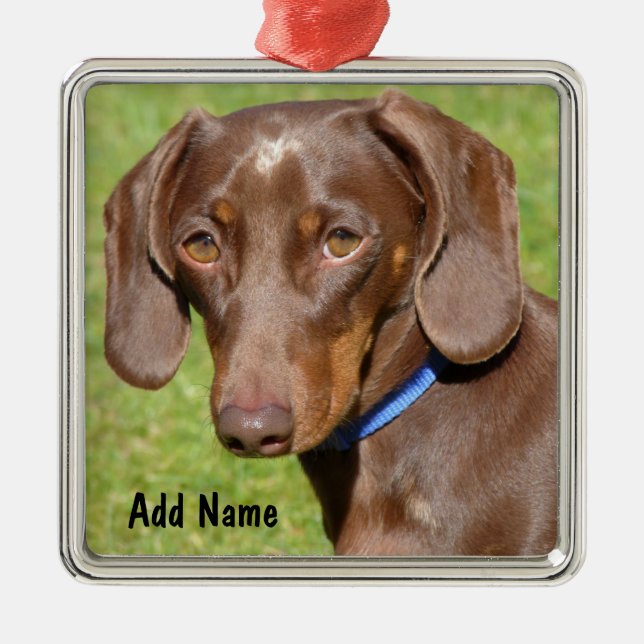 Chocolate and Tan Dachshund - Doxie Metal Ornament (Front)