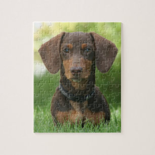 Chocolate and tan Dachshund Jigsaw Puzzle