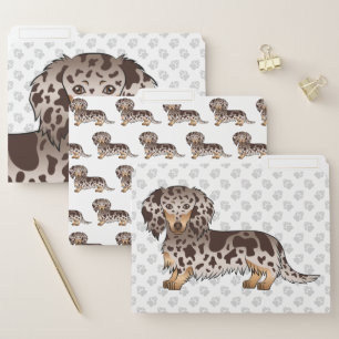 Chocolate And Tan Dapple Long Hair Dachshund Dog File Folder