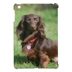 Dachshund Phone Cases Page 6 Dog Phone Cases