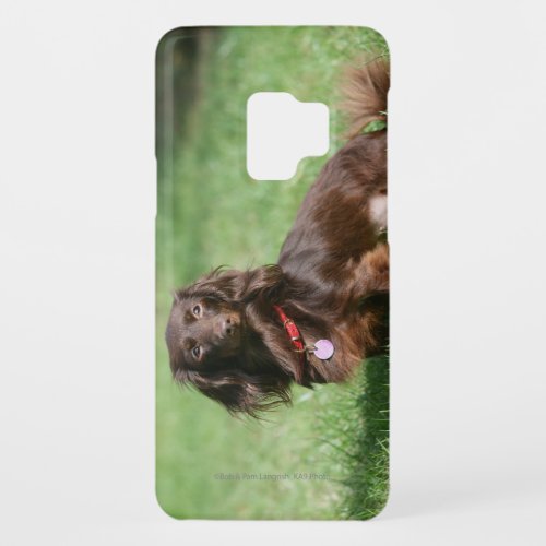 Chocolate and Tan Long_haired Miniature Dachshund Case_Mate Samsung Galaxy S9 Case