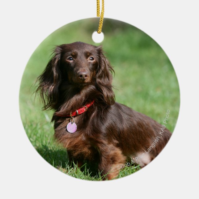 Chocolate and Tan Long-haired Miniature Dachshund Ceramic Ornament (Front)