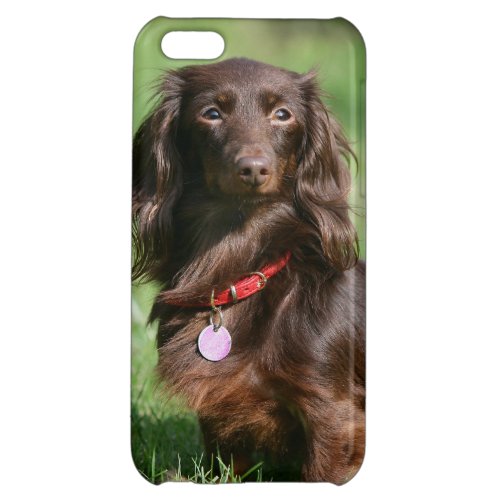 Chocolate and Tan Long_haired Miniature Dachshund Cover For iPhone 5C