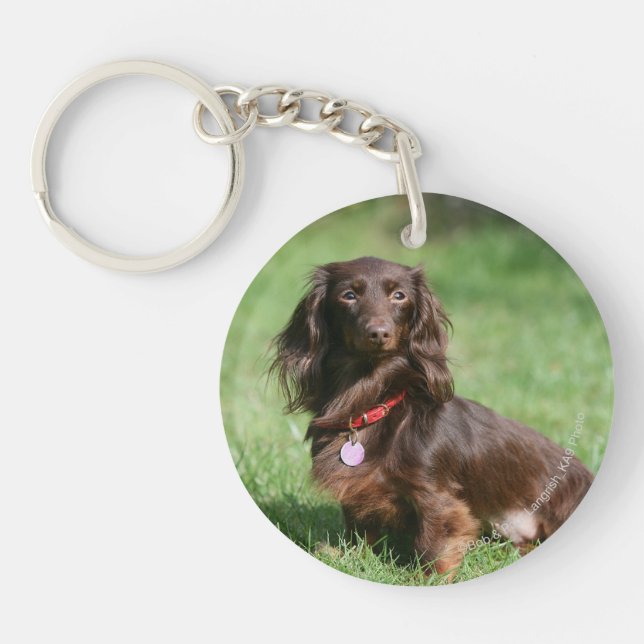 Chocolate and Tan Long-haired Miniature Dachshund Keychain (Front)