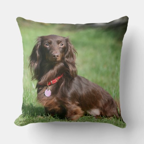 Chocolate and Tan Long_haired Miniature Dachshund Throw Pillow