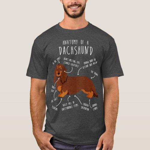 Chocolate and Tan Longhaired Dachshund Dog Anatomy T_Shirt