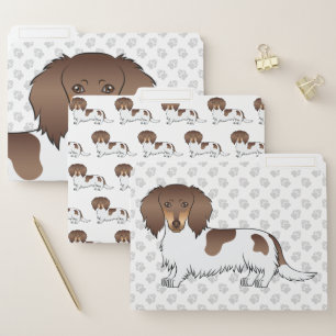 Chocolate And Tan Piebald Long Hair Dachshund Dog File Folder