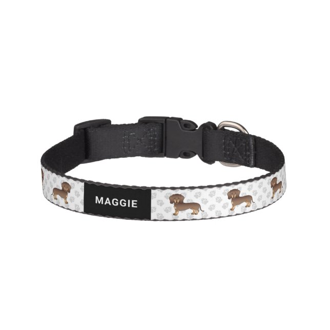 Chocolate And Tan Short Hair Dachshund & Name Pet Collar (Front)