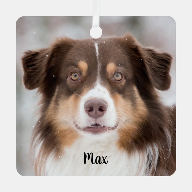 Chocolate Australian Shepherd Puppy Dog Metal Ornament (Front)