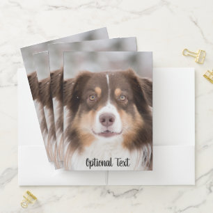 Chocolate Australian Shepherd Puppy Dog Pocket Folder