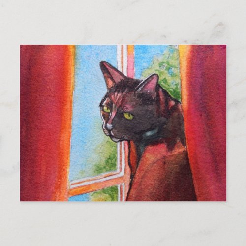 Chocolate Black Cat with Curtains Postcard