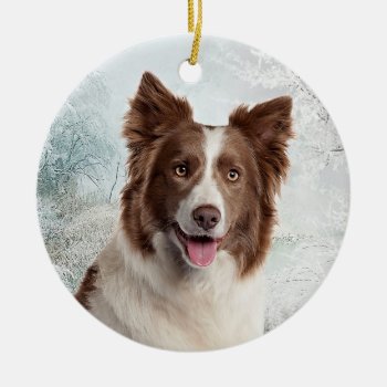 Chocolate Border Collie Ornament by ForLoveofDogs at Zazzle