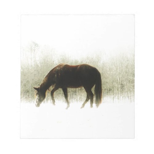 Chocolate Brown horse in the fog Notepad