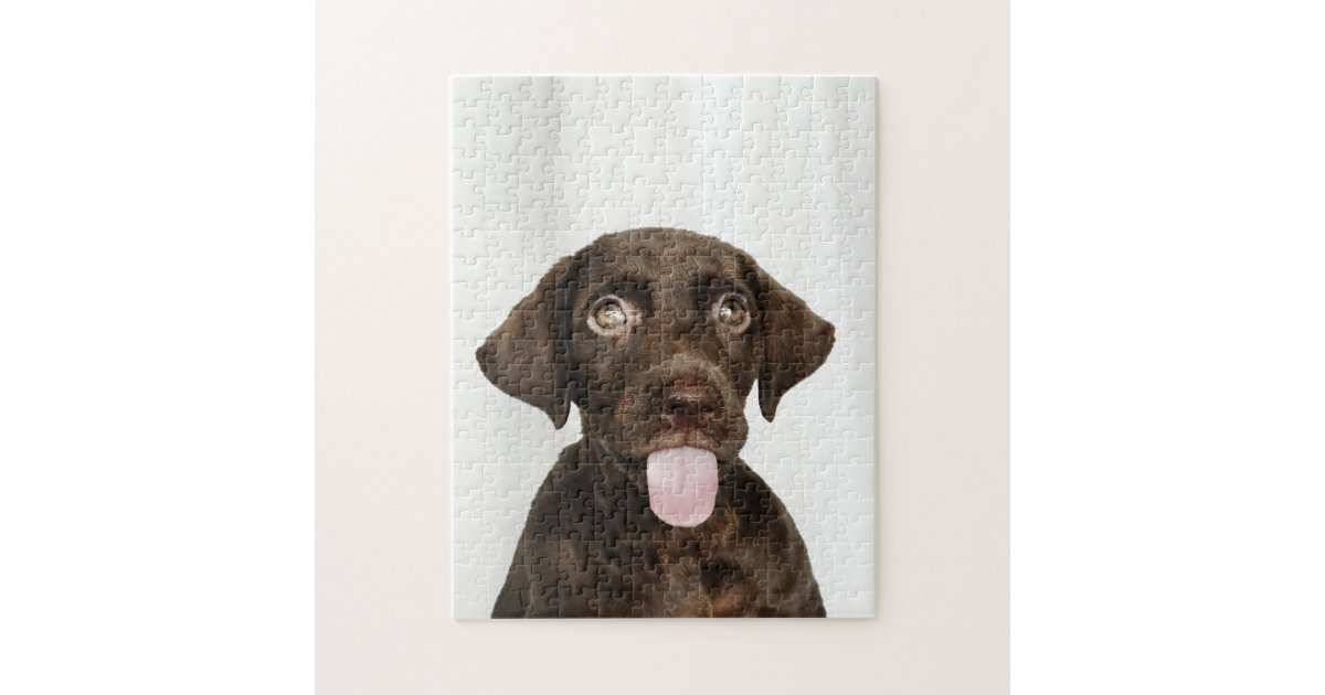 Chocolate Brown Lab Puppy Jigsaw Puzzle Zazzle