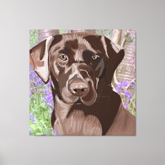 Chocolate Brown Labrador in a Bluebell Wood Canvas Print (Front)