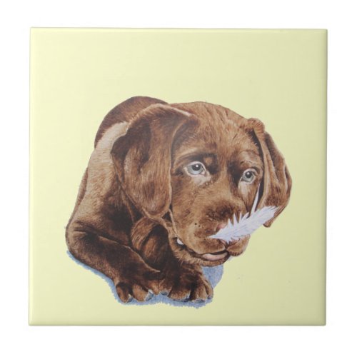 chocolate brown labrador puppy funny dog picture ceramic tile