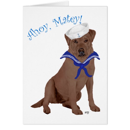 Chocolate Brown Labrador Retriever Cards (Front)