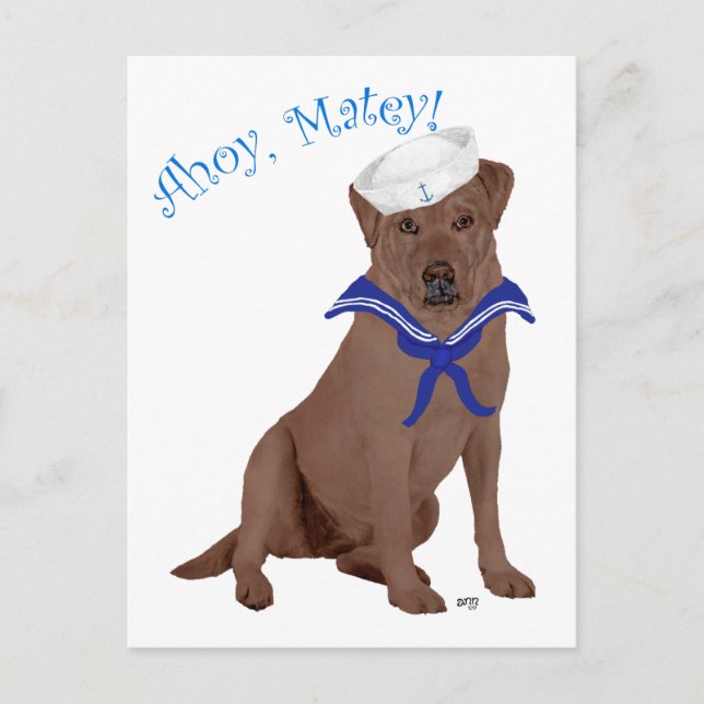 Chocolate Brown Labrador Retriever Postcard (Front)
