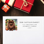 Chocolate Brown Pomeranian Christmas Address Label<br><div class="desc">Christmas Chocolate Brown Pomeranian Custom Return Address Labels</div>