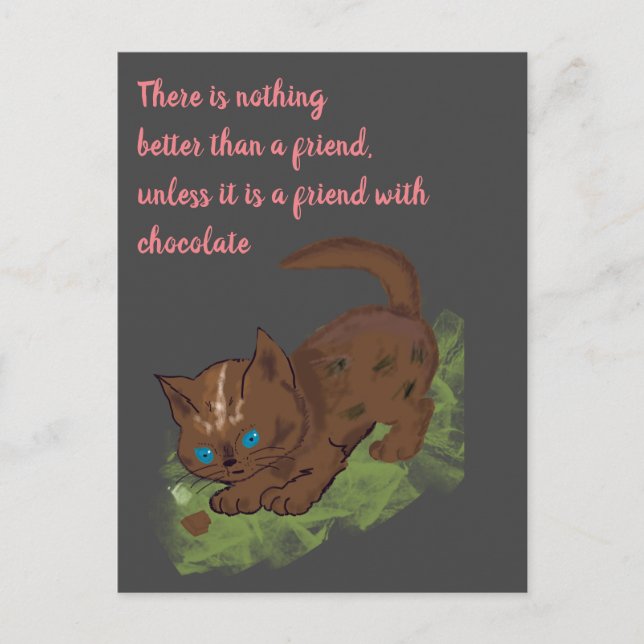 Chocolate cat friend quote postcard (Front)