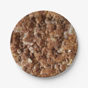 chocolate chip rice cake paper plate