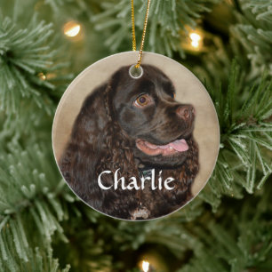 Chocolate Cocker Spaniel Ornament