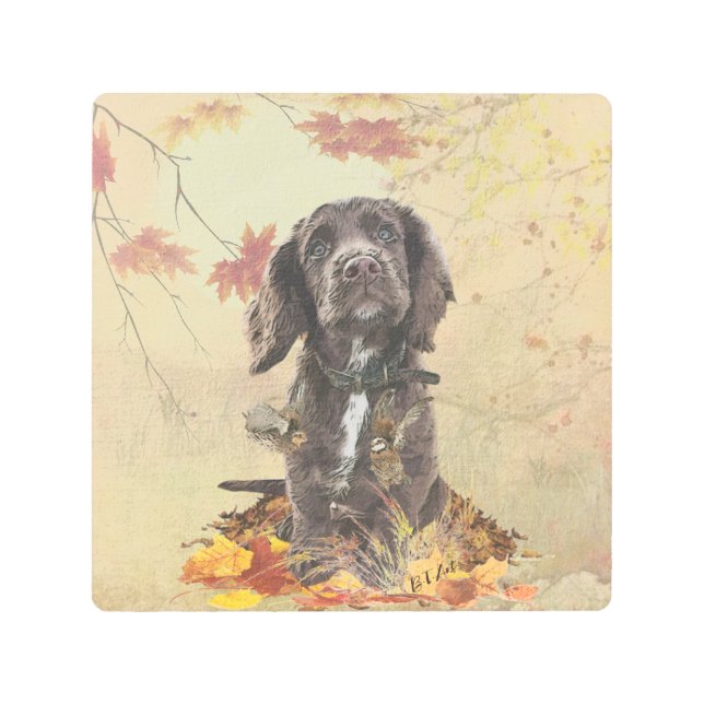 Chocolate cocker spaniel puppy  metal print (Front)