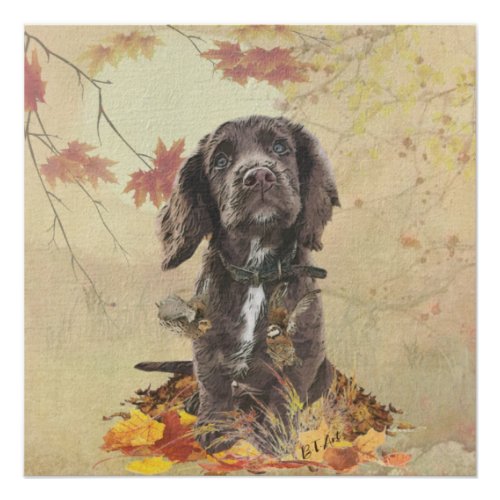 Chocolate cocker spaniel puppy  poster