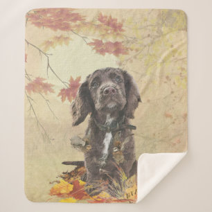 Chocolate cocker spaniel puppy sherpa blanket
