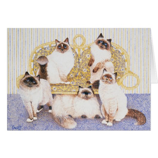 Chocolate creams (Front Horizontal)