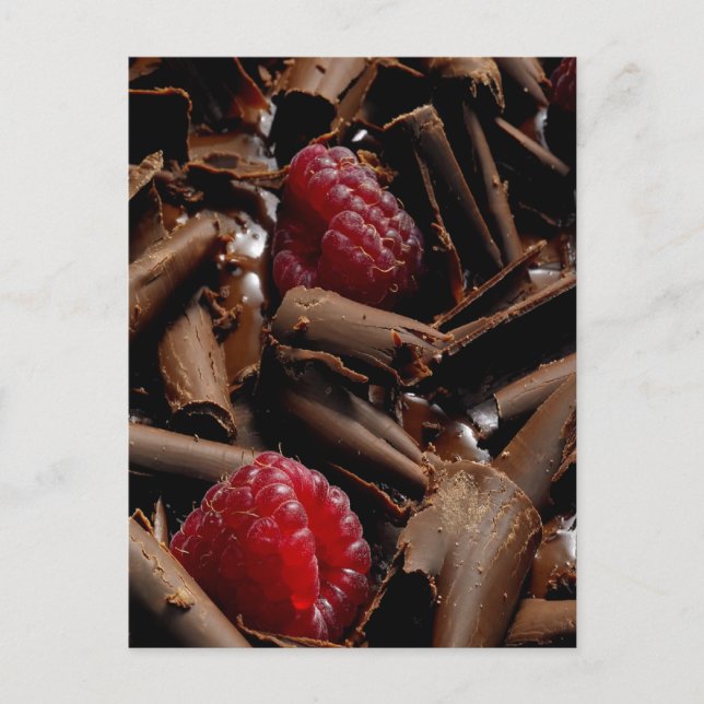 Chocolate Curls and Raspberries Postcard (Front)