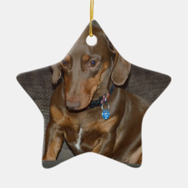 Chocolate Dachshund Ceramic Ornament (Front)
