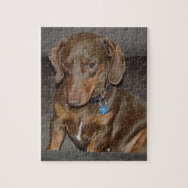 Chocolate Dachshund Jigsaw Puzzle (Vertical)