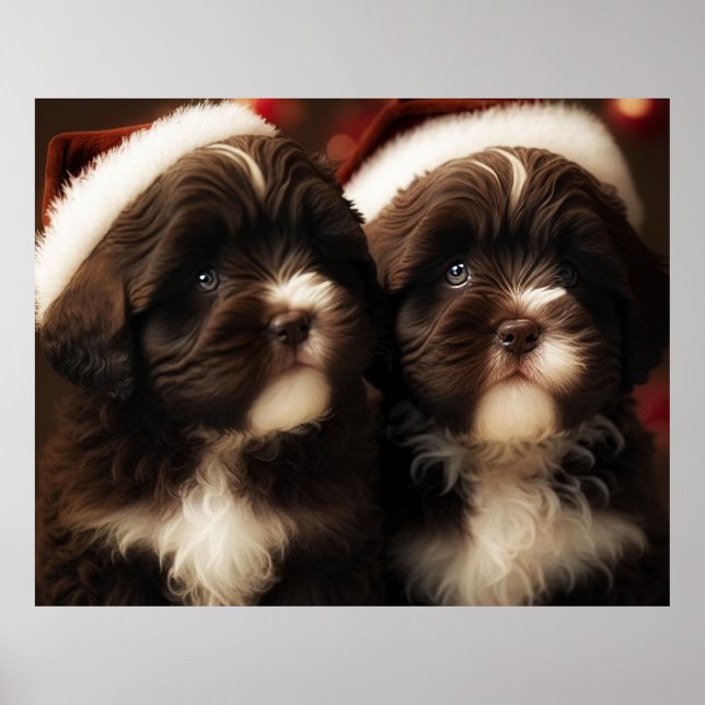 Chocolate HavaHug Havanese Christmas Puppy Puzzle  Poster (Front)