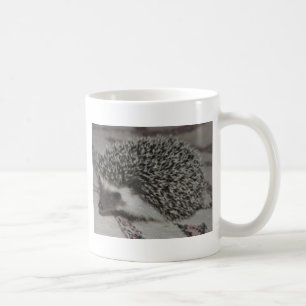 chocolate hedgehog baby coffee mug