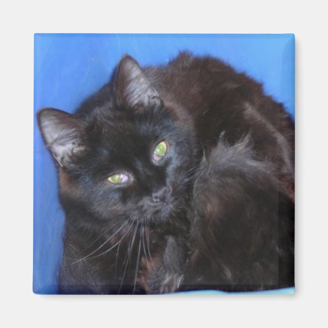 CHOCOLATE KITTY MAGNET (Front)