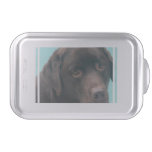 chocolate-lab-14 cake pan