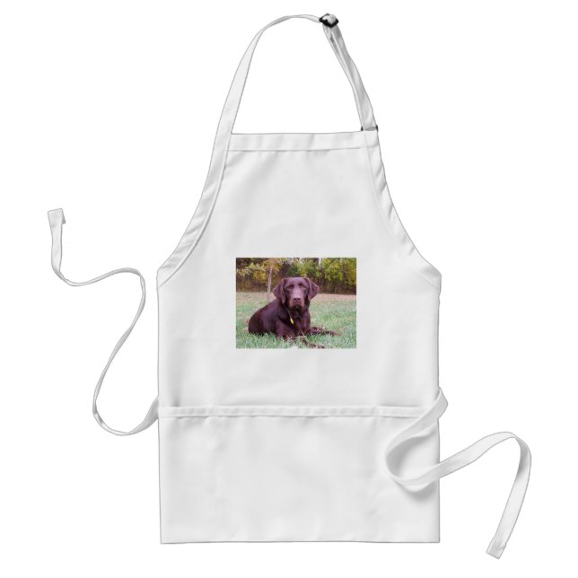 Chocolate Lab Adult Apron (Front)