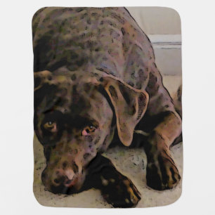 Chocolate lab baby blanket