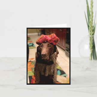 Chocolate lab beauty card