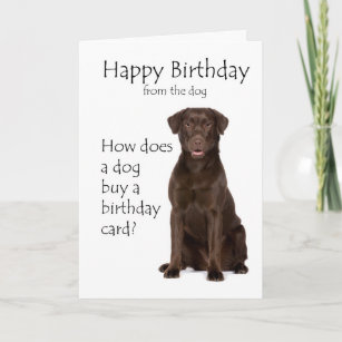Brown Labrador Birthday Card for Dog Lover Gift Idea 100g Chocolate Bar Him Her 