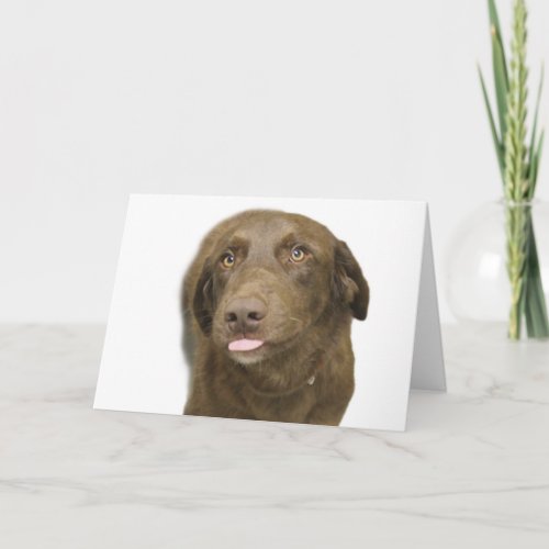 Chocolate Lab Birthday Card