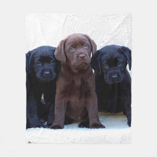 labrador blanket throw