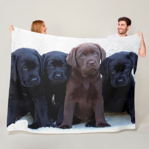 Chocolate Lab - Black Labrador Puppies Fleece Blanket